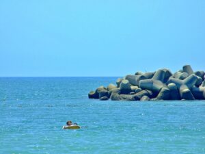 海水浴場が汚いのはなぜ？魚にとってはパラダイス！